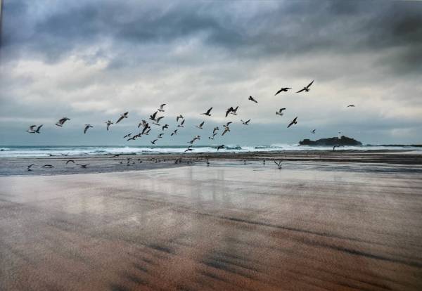 - on , Print by Alistair Common, measuring 20 x 27 cm (H x W) framed at 30 x 40 cm £30